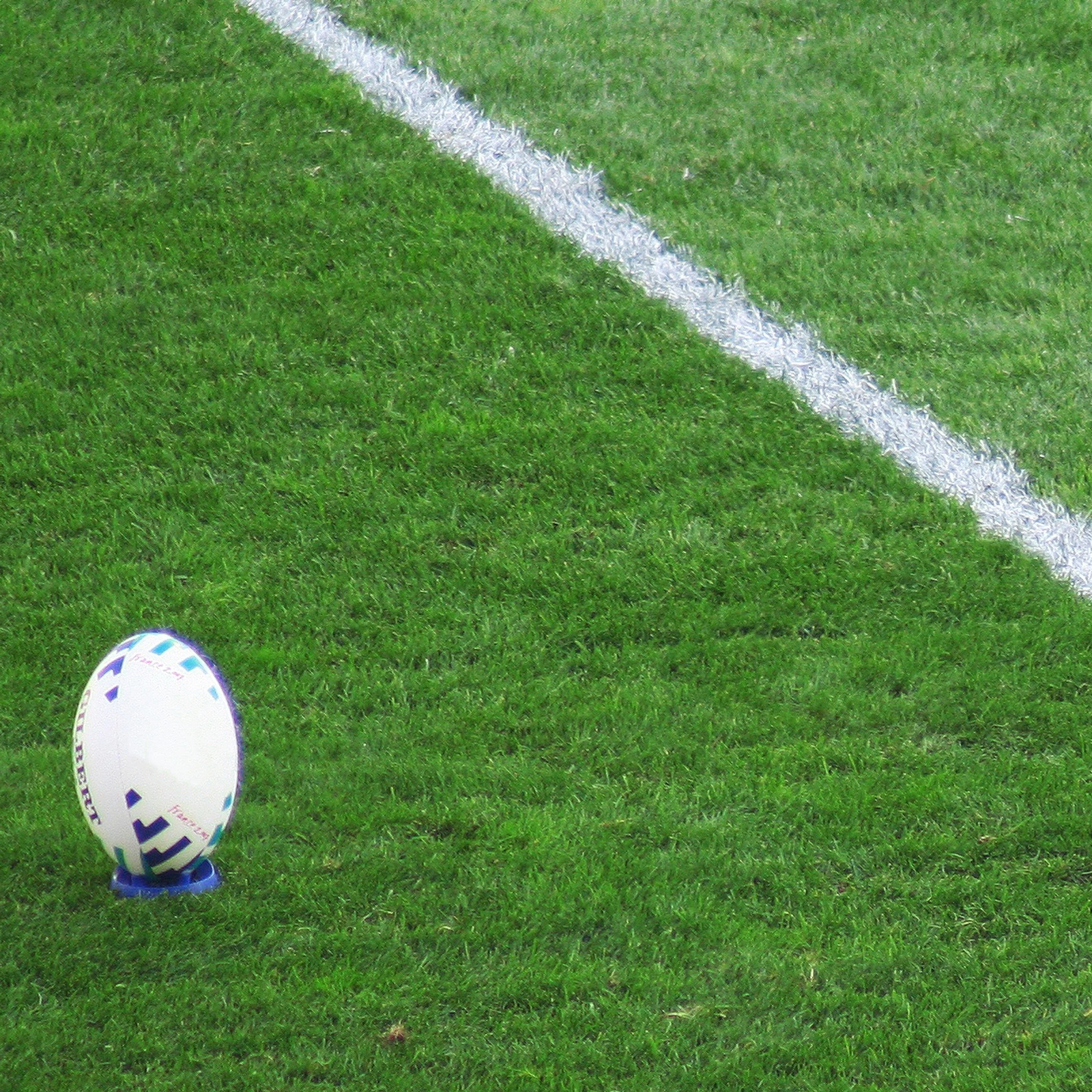Field and Ball.jpg